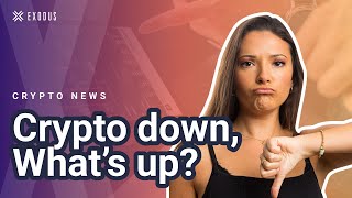 Crypto market is down: What is up? (Avalanche AVAX crypto) AVAX coin news | Crypto News Today