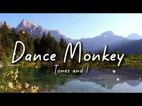 Tones and I - Dance Monkey (Lyrics)