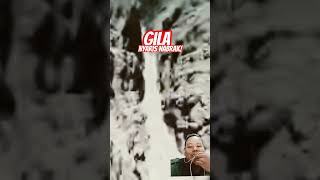 TERBANG DIANTARA JURANG! #viralvideo #wingsuit #extremesports #sports #amazing #wingsuft #fyp