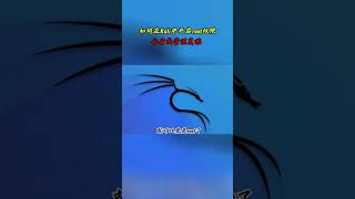 NINJA OMEGA SEC  |  如何在Kali中开启root权限，化身成管理员呢？ #黑客 #网络安全 #渗透测试