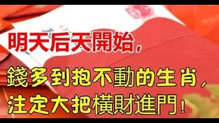 明天后天開始，錢多到抱不動的生肖，註定大把橫財進門｜生肖命理