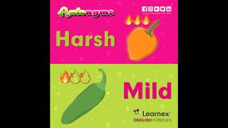 Descubre más diferencias en Inglés en Learnex
