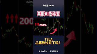 负面新闻，业绩炸弹，关税大棒，TSLA总算熬过来了吗？【美股AI急诊室】2025.04.23 #sam谈美股 #美股分析 #tsla #nvda #特斯拉 #英伟达