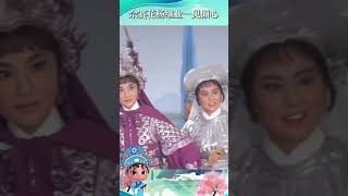#夏梦 #丁赛君 演绎佘赛花杨继业一见钟情名场面💑#越剧 #烽火姻缘 | 中华戏韵