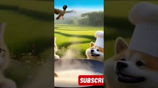 Chef Cat and Dog cooking at Rice field #chefcat #chefdog