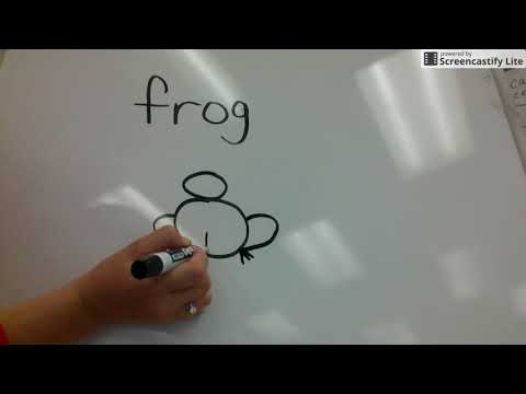 How to draw a frog