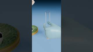 Ant Volume vs Whale Volume