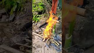 #campinglife #junglecooking #bamboochicken #grilltime