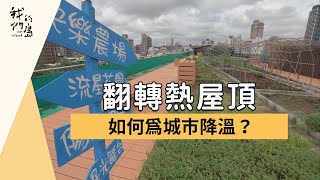 【節能減碳】翻轉熱屋頂｜為城市降溫 (我們的島 第868集 2016-08-01)