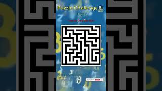 Find the Only Way Out! | Maze Challenge - Day#7 #MazePuzzle #MazeChallenge #MazeGame #SolveTheMaze #