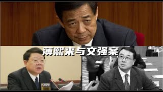 薄熙来系列6，王立军文强的灵魂对话，薄熙来在重庆指挥不动的警察是谁，薄熙来杀文强得罪了谁？#薄熙来 #王立军 #文强 #贺国强 #中国政治 #中国官场 #中共内斗 #中共 #重庆 #胡锦涛