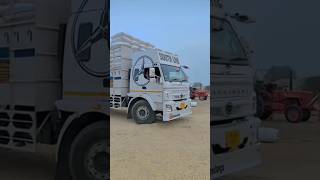 Southline loading times yellow grass loading truck 🚛 transport #punjabisong #punjabimusic #driver