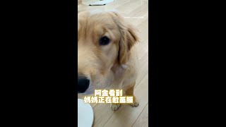 【妳是我媽嗎？】阿金見媽敷面膜眉頭緊皺　一臉問號反覆確認XD #Shorts