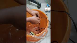 Automatic water tap using Ultrasonic Sensor #robotic #coding #arduino #iot #tech