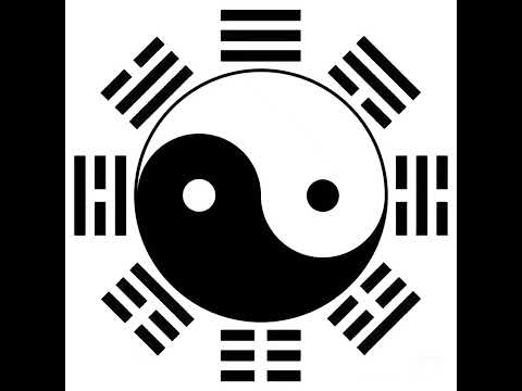 Xiaolong Adventure直播