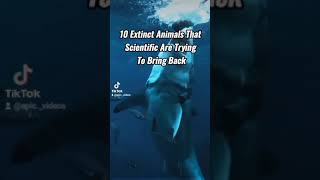 10 Extinct Animals That Scientific Are Trying To Bring Back ☠️🥵 #short #epicvideo #fyp #epicclips