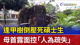 逢甲樹倒壓死碩士生 母首露面控「人為疏失」