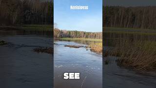 Best Dam RemovalThis Year!#shorts #asmr #drain #nature #dam #raw #viral