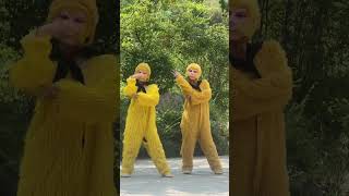 You should also peck rice for me, Xiao Waishao dance