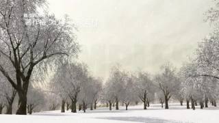 著作権フリー動画素材／商用利用可能／クリスマス素材／雪景色003