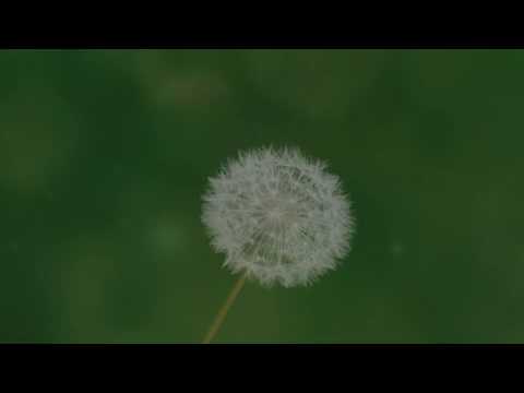 Highlights of the Channel