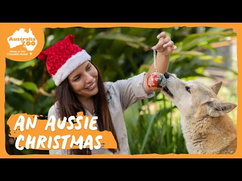 Crikey! It's Christmas at Australia Zoo