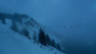 insensible - ominous (slowed + reverb)