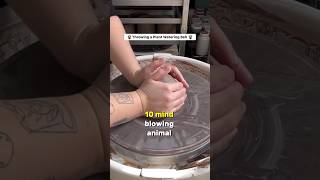 10 Mind Blowing Animal Facts #curiosity #facts #factfile #intresting #shocking #animal #animalfacts