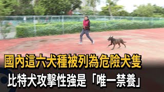 國內這六犬種被列為危險犬隻　比特犬攻擊性強是「唯一禁養」－民視新聞