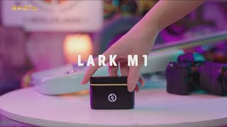 怪機絲 新品預告 Hollyland LARK M1 無線領夾式麥克風