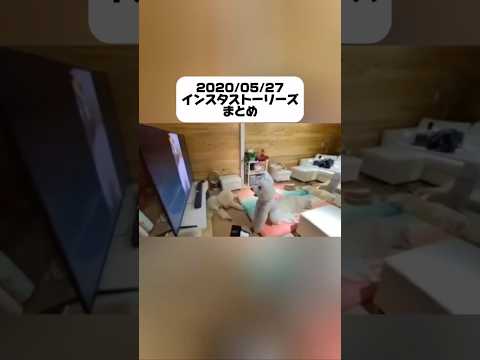 【過去のストーリーより】#愛犬#犬のいる暮らし #大型犬#犬動画