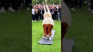 Amazing Video Part 12  #usa #trending #usashorts #usatrends #viralshort #usaviral #viralvideo #trend