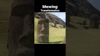 Mewing Transformation