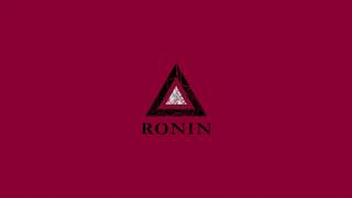 Zack Hemsey - "Teachings Of A Ronin"