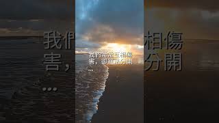每日一句愛情語錄 浪漫愛情語錄分享 心動的愛情句子 曖愛礙唉 EP 122 #shorts #心動 #曖昧 #浪漫 #推薦