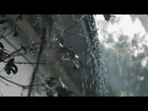 Best Rain Sleeping and Relaxing Music/Sound