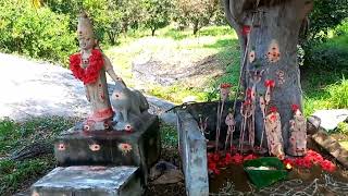 வைகாசி மாத #வளர்பிறைசஷ்டி