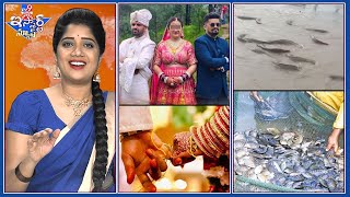 iSmart News : రోడ్డుమీద చేపలే చేపలు | ఒక్క అమ్మాయినే పెళ్లాడిన అన్నదమ్ములు ! - TV9