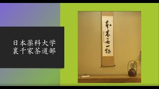 裏千家茶道部　日本薬科大学