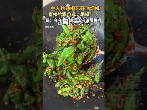 主人炒辣椒忘开油烟机，直接给猫呛成“烟嗓”了