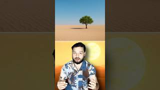 You Won’t Believe What Happened With The LAST Tree Of The Sahara DESERT! #shorts