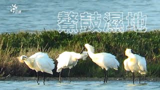 2021/04/30 南部開講-在地旅行 【嘉義東石鄉社區美學與生機】