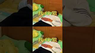 如何快速睡著，成年人睡眠指南，擺脫失眠讓你好睡，完全睡眠指南，理想睡眠時長睡眠清單，解決失眠迎接健康人生，失眠背後生物鐘的秘密，安眠食物對抗失眠，深睡眠一學就會，迅速入睡技巧，領悟失眠之謎開啟健康睡眠