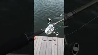 Megabass Levante JP Perfect Pitch and Shimano Tranx. Perfect big bait setup for Saltwater fishing