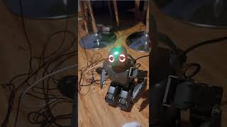 what would happen if i made ai robot?
