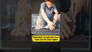 🐠💚 Step-by-Step Guide to Aquascaping for beginners #fishaquarium #fishtank