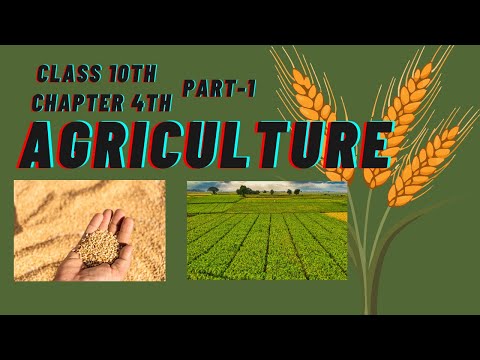 Class 10th Geography Chapter 4- Agriculture Full Chapter Explanation