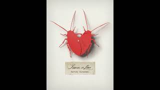 Samsa In Love By Haruki Murakami