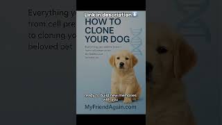 What Happens After Your Dog is Cloned? Here's our answer in 30 seconds! #dogcloning #mypet #puppy