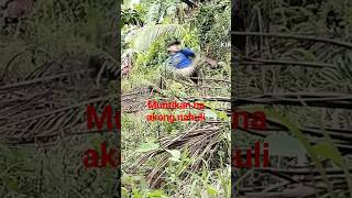 tagulilong magamit ko #kritikal  #intense  #ghosthunter18  #viral  #video